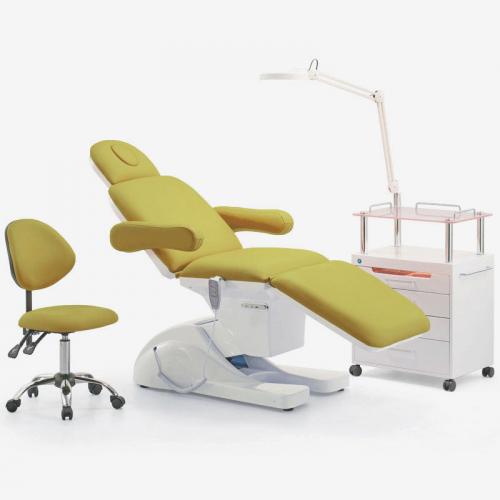 Electric Beauty Facial Bed Massage Table