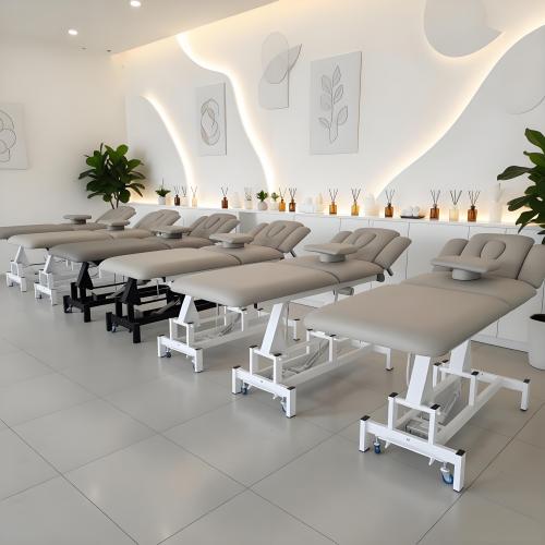 Electric Facial Bed