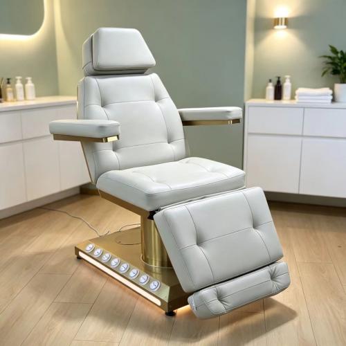Luxury Electric Beauty Bed treatment table